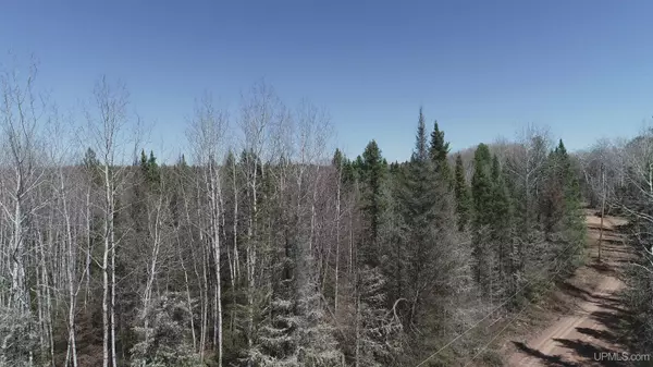 240 A Off Helen Lake Road,  Republic,  MI 49879