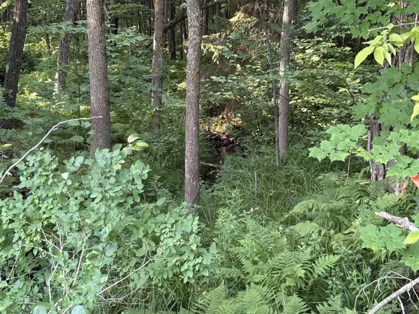 Bessemer, MI 49911,TBD Sartoris Road