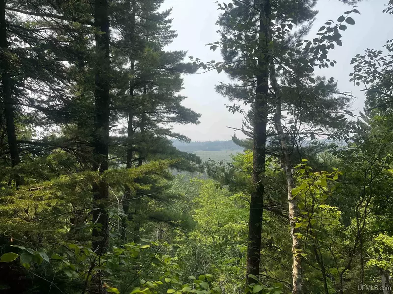 120 Acres Willow Creek Road, Ishpeming, MI 49849