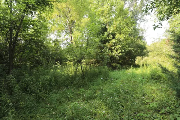 Flushing, MI 48433,Luce Road
