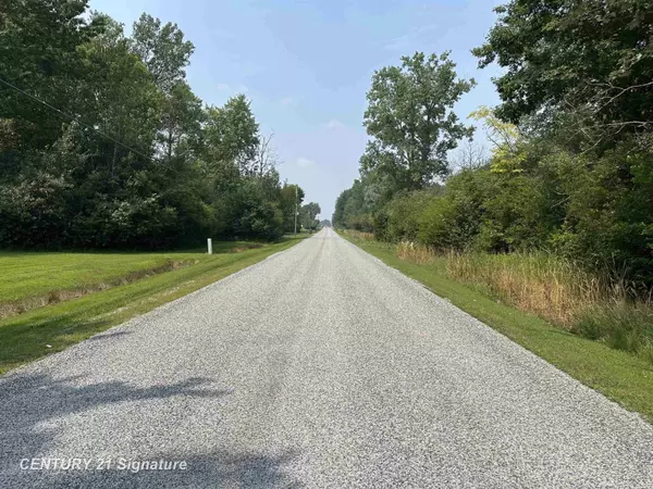 Birch Run, MI 48415,0 Townline Road