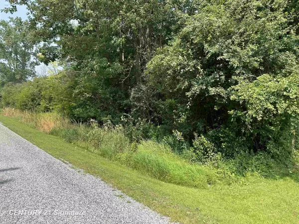 0 Townline Road, Birch Run, MI 48415