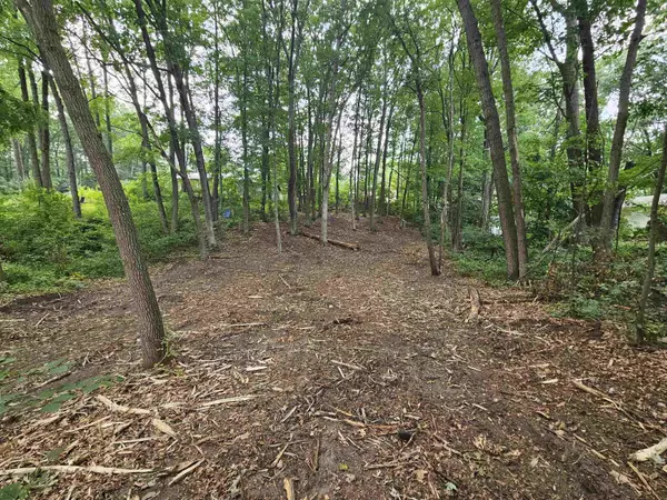 LOt 36 Lakeview Street, Harrison, MI 48625