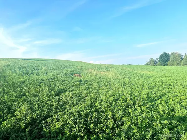 Co Rd 358 Road, Daggett, MI 49821