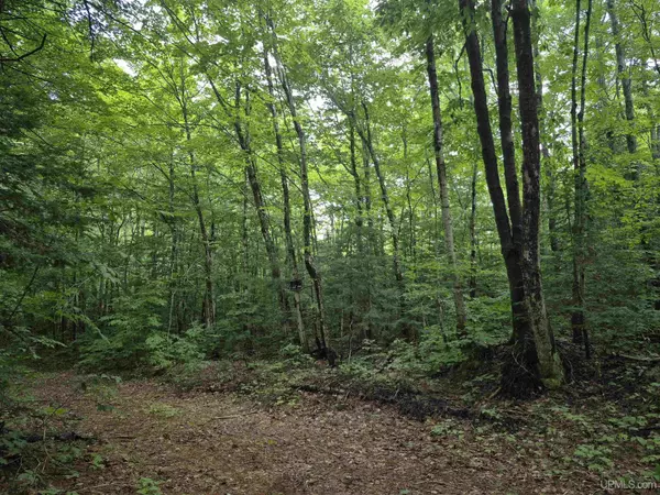 10 Acres Fisher Trail,  Newberry,  MI 49868