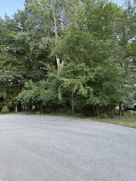 2948 Island Point Drive, Metamora, MI 48455