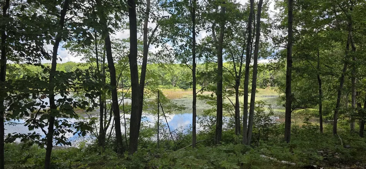 Harrison, MI 48625,Lot 300 Jaunita Indian Lane