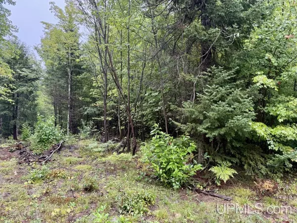 Munising, MI 49862,TBD Lot 1 Harborview Drive