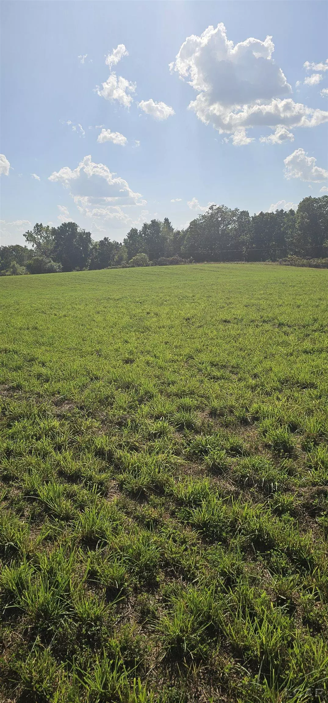 Brooklyn, MI 49230,M 50 Highway