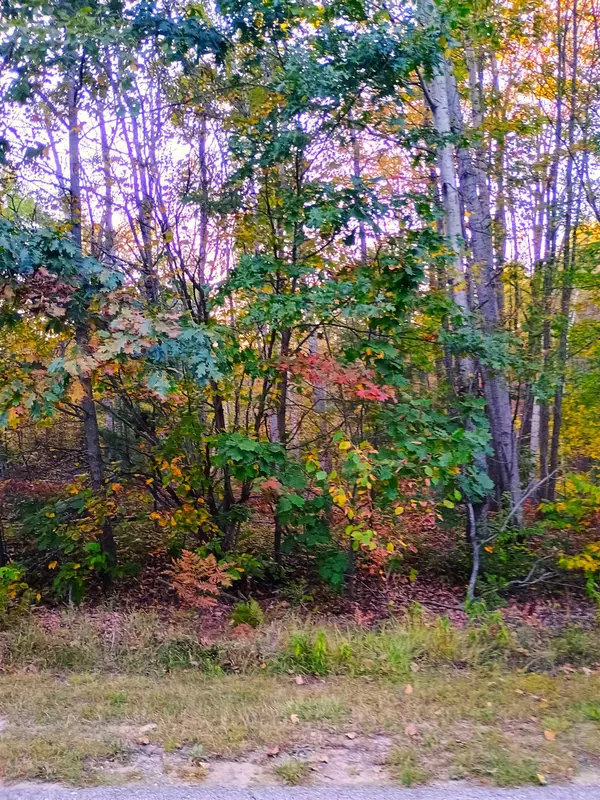 XX RiversTerrace Road, Gladwin, MI 48624