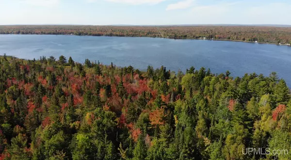 TBD 1 Rice Lake Road, Lake Linden, MI 49945