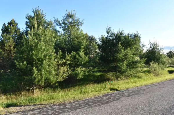 Gladwin, MI 48624,Lots 530 & 531 Shaftsbury Court