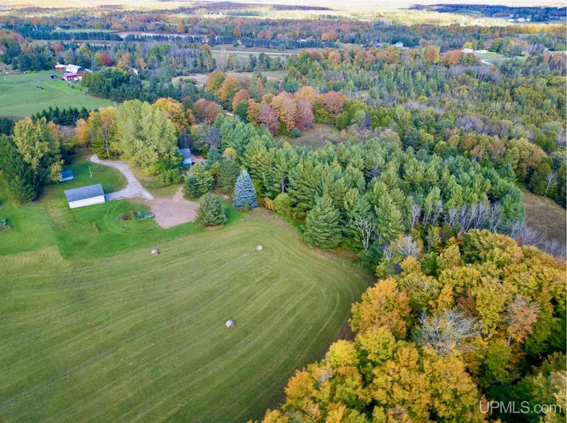 3193 Old M94 Road, Chatham, MI 49816