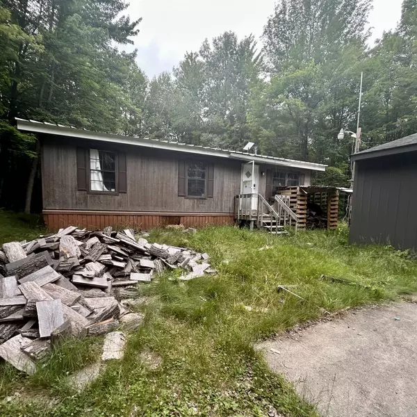 11173 N Lakeside Trail, Shepherd, MI 48883