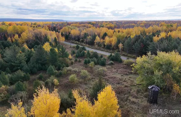 TBDC20 Firesteel Road, Ontonagon, MI 49953