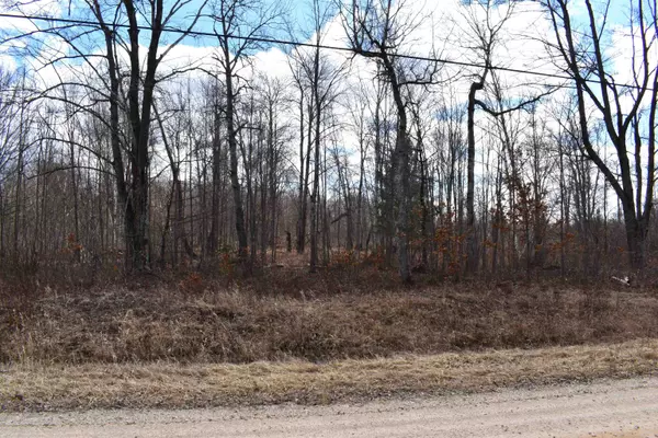 Alger, MI 48601,00 Sterling Truck Trail