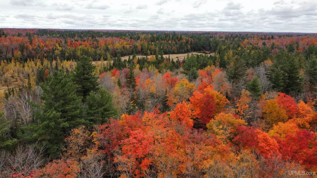 TBD Timberland Trail, Michigamme, MI 49861