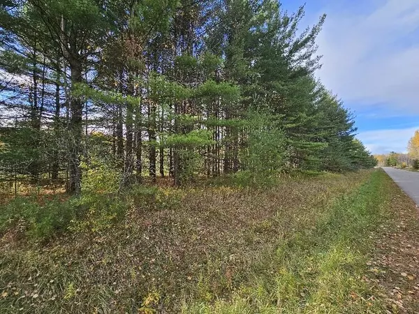 Alger, MI 48610,20 acres Deerhaven Road