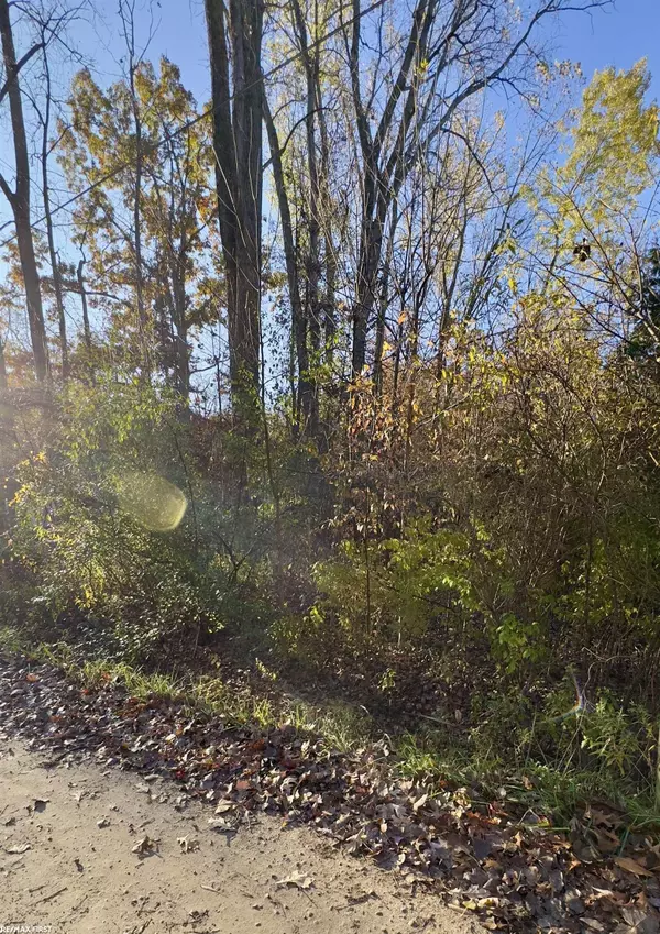 Columbiaville, MI 48421,V/L Woodlawn Drive