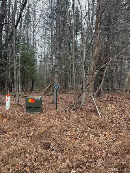 Lot 11 Keweenaw Pass, Lake Linden, MI 49945