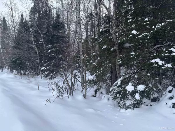 TBD AL County Road, Champion, MI 49814