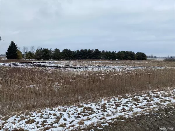 Brown City, MI 48416,0000 MAPLE VALLEY