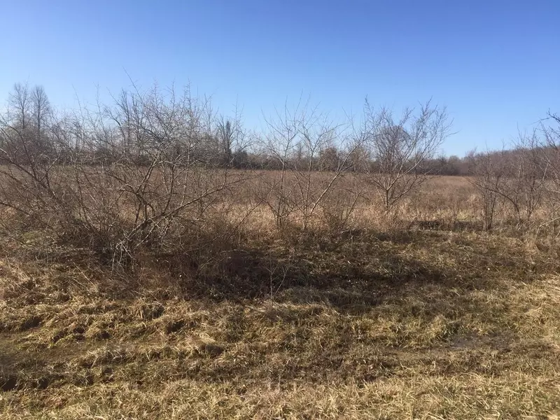 vacant land par SERENITY Court, Riley, MI 48041