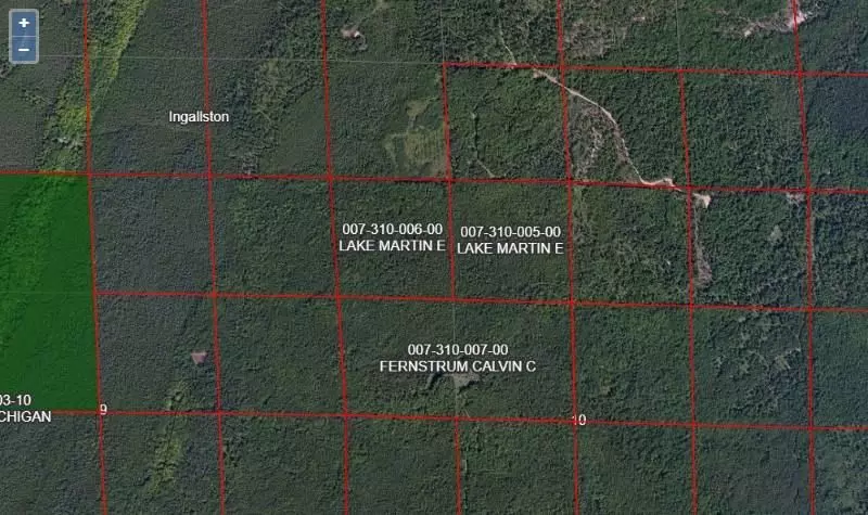 Menominee, MI 49858,0 MILLION DOLLAR Road