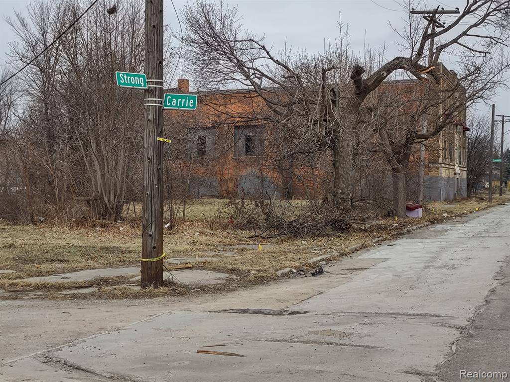 Detroit, MI 48211 1770,7151 STRONG Street