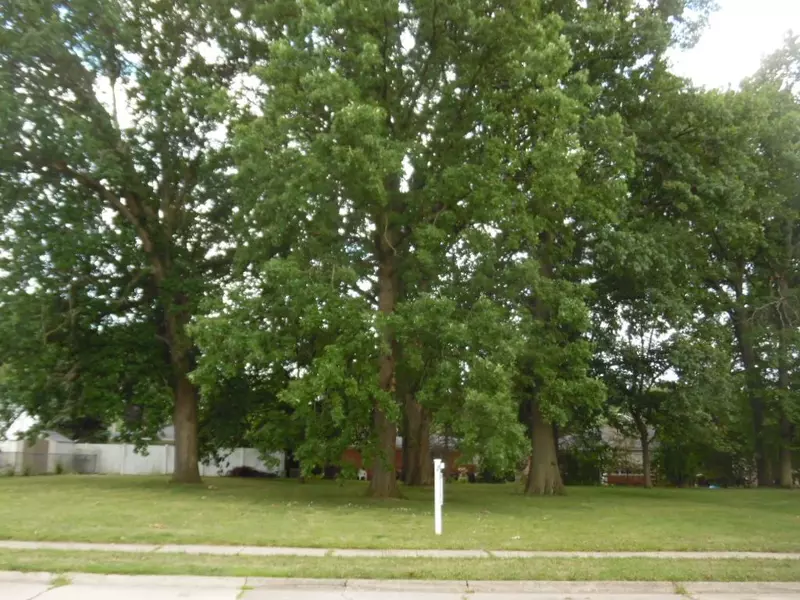 Vacant Greentrees, Riverview, MI 48193