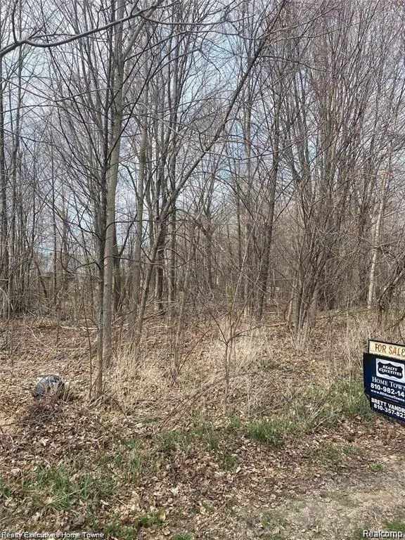 3183 BLACKHEATH Court, Port Huron, MI 48060 2345
