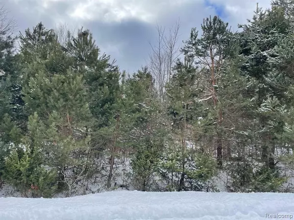 4064 HEMLOCK Lane,  Alanson,  MI 49706 9472