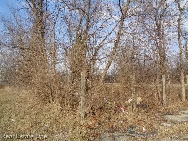 Detroit, MI 48208,4293 16TH Street