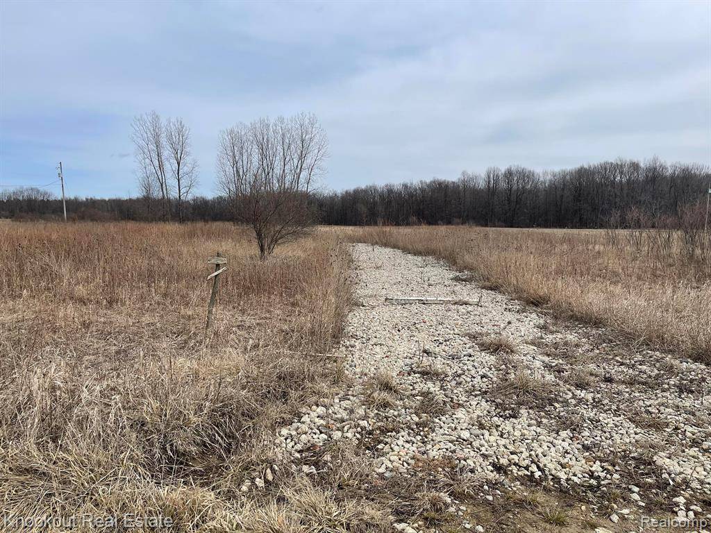 13176 HENDERSON Road, Otter Lake, MI 48464