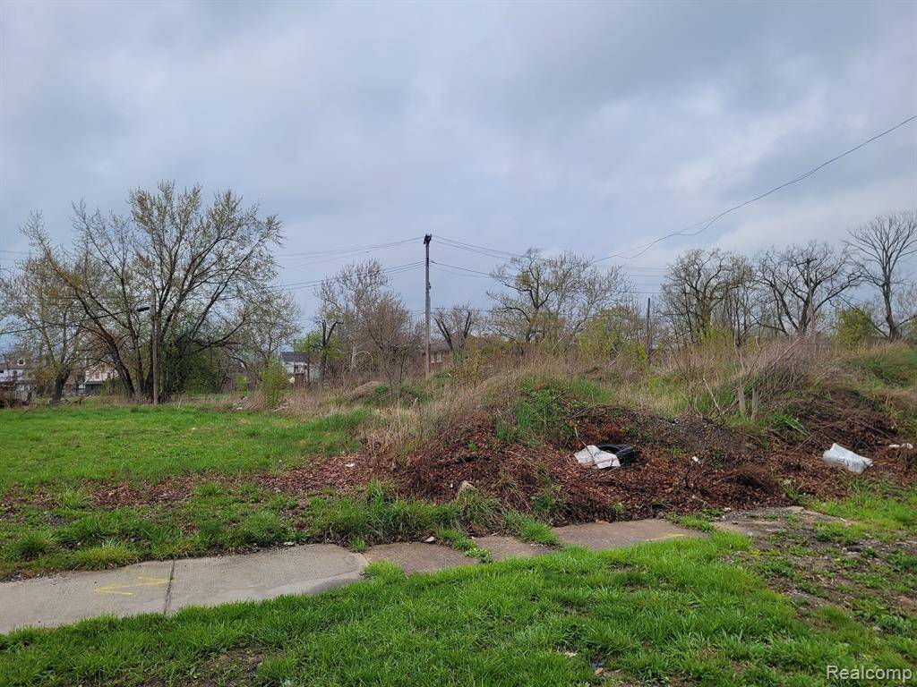 3324 ROCHESTER Street, Detroit, MI 48206 1654