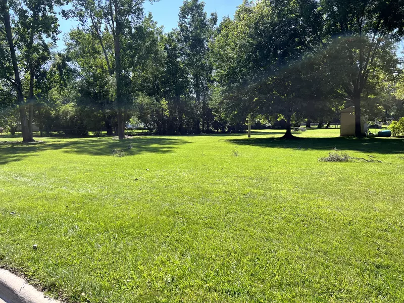 VACANT Henry Ruff, Garden City, MI 48135 1923