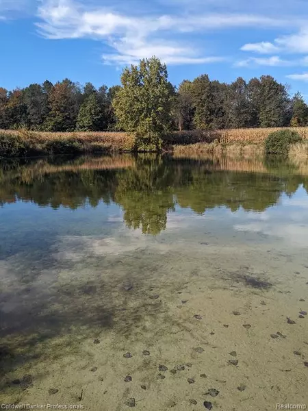 7168 Willis Rd, Brown City, MI 48416