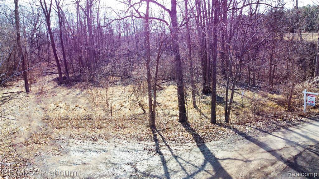 Fenton, MI 48430,LOT 66 PRESERVE DRIVE