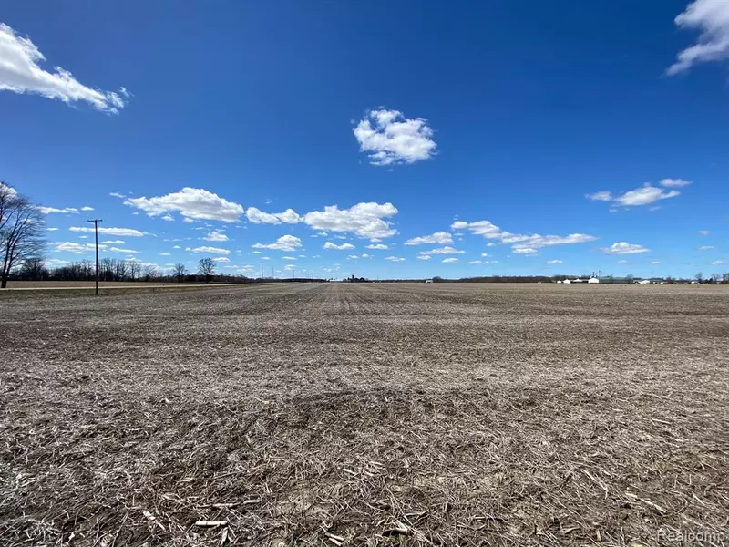 000 Dryden Road, Almont, MI 48003