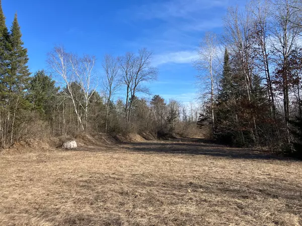 West Branch, MI 48661,Vacant Land M-76