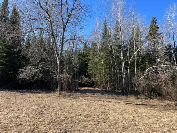 West Branch, MI 48661,Vacant Land M-76