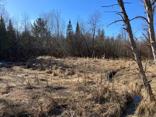 West Branch, MI 48661,Vacant Land M-76