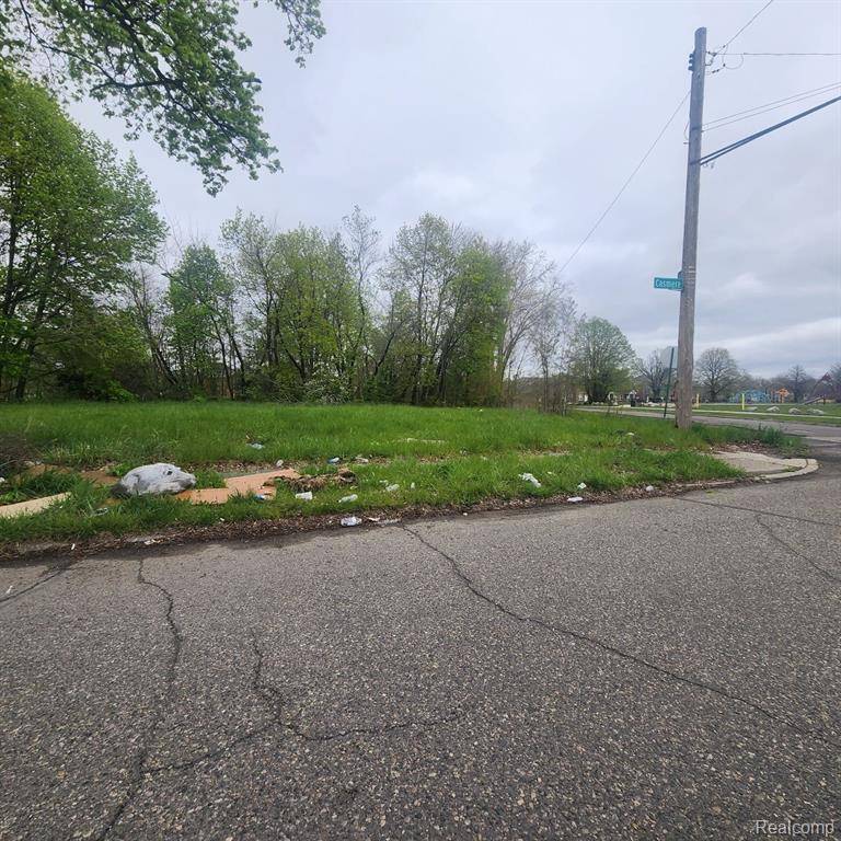 Hamtramck, MI 48212 2802,5665 CASMERE Street