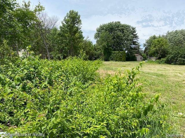 Clinton Township, MI 48035 3856,24001 MURRAY Street