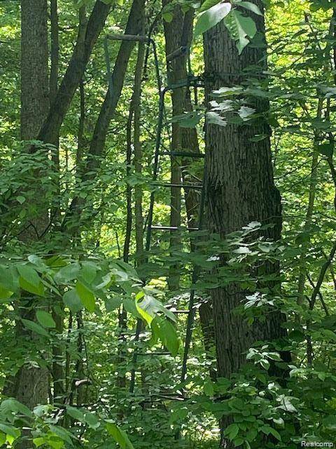 Parcel 8 Deadwood Lane, Brighton, MI 48114 8745