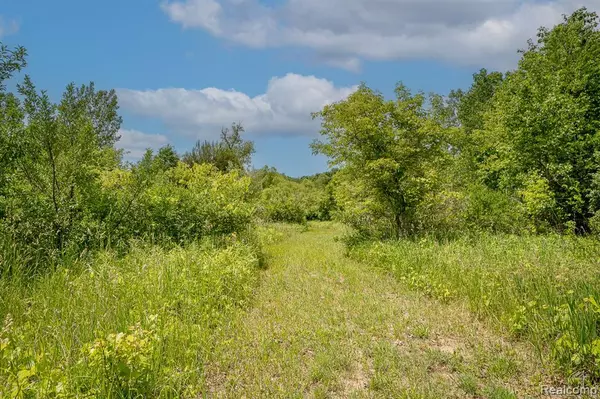 Jackson, MI 49201,VL Fosland Farms Drive