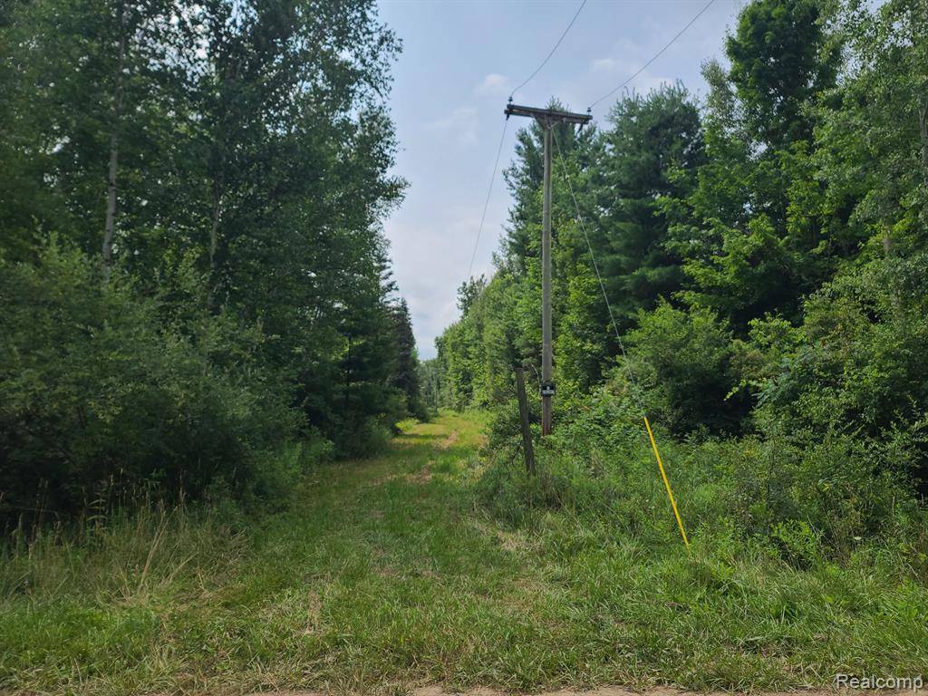 0000 Pringle Rd, Cass City, MI 48726