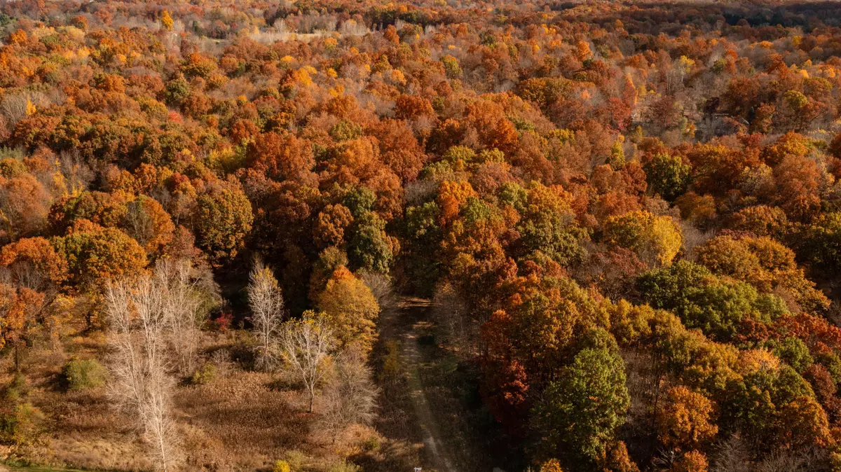 White Lake, MI 48383 2432,00 Tyler Woods Trail