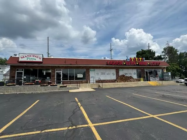 294 N Lafayette Street, South Lyon, MI 48178