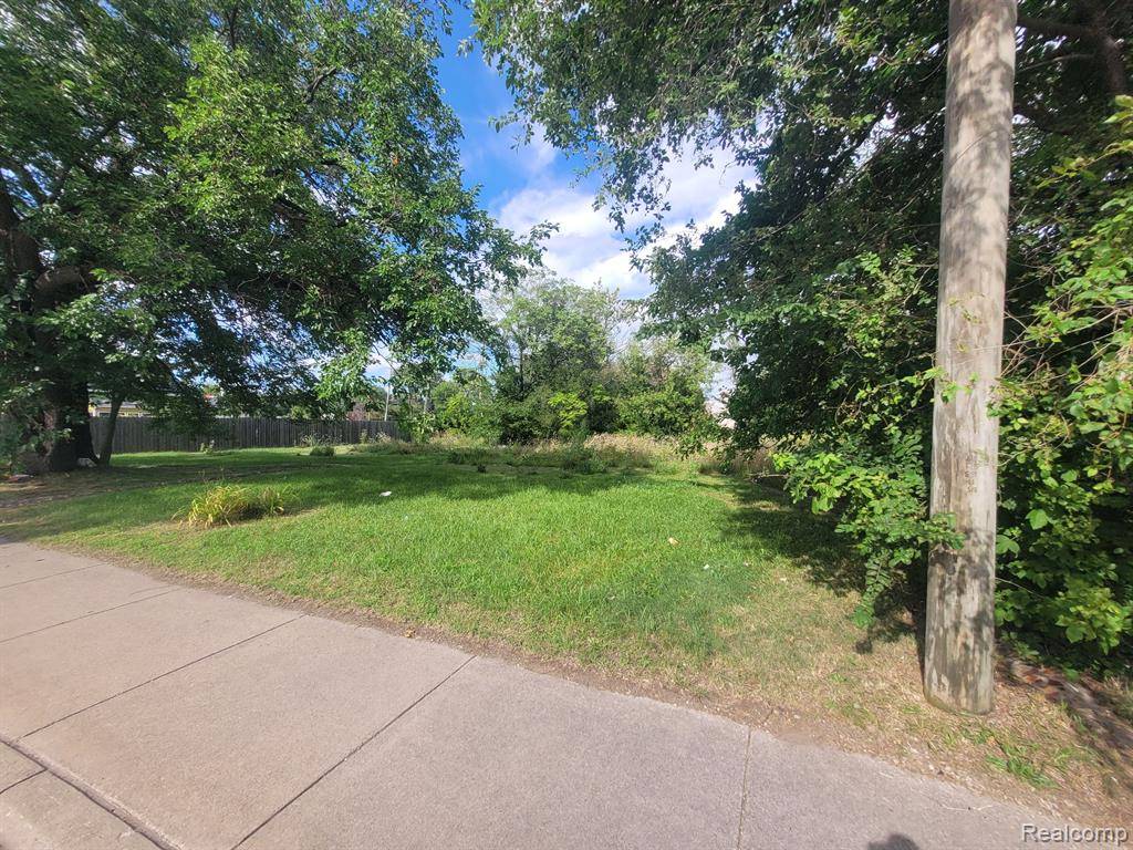 3520 MOUNT ELLIOTT Street, Detroit, MI 48207 2409
